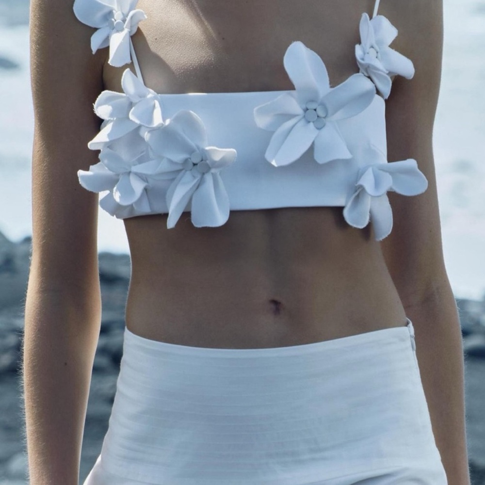 NWT Zara floral cropped top